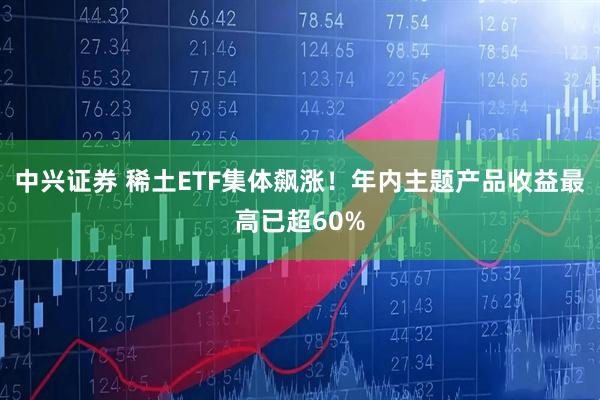 中兴证券 稀土ETF集体飙涨！年内主题产品收益最高已超60%