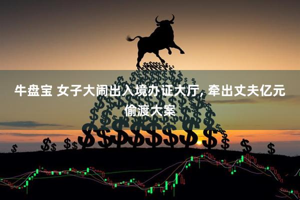 牛盘宝 女子大闹出入境办证大厅, 牵出丈夫亿元偷渡大案