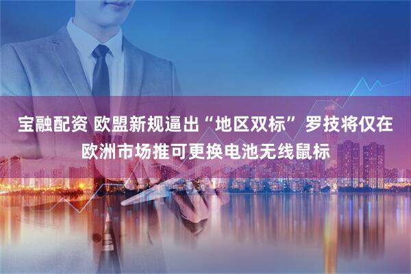 宝融配资 欧盟新规逼出“地区双标” 罗技将仅在欧洲市场推可更换电池无线鼠标