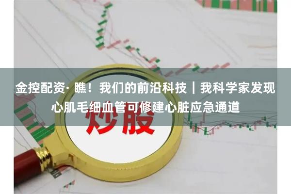 金控配资· 瞧！我们的前沿科技｜我科学家发现心肌毛细血管可修建心脏应急通道